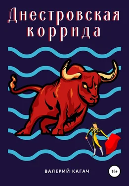 Валерий Кагач Днестровская коррида обложка книги