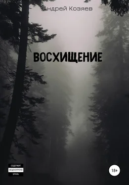 Андрей Козяев Восхищение обложка книги