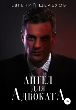 Евгений Шелехов Ангел для адвоката обложка книги
