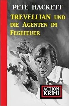Pete Hackett Trevellian und die Agenten im Fegefeuer: Action Krimi обложка книги