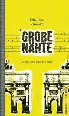 Johannes Schweikle Grobe Nähte обложка книги
