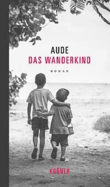 Aude Das Wanderkind обложка книги