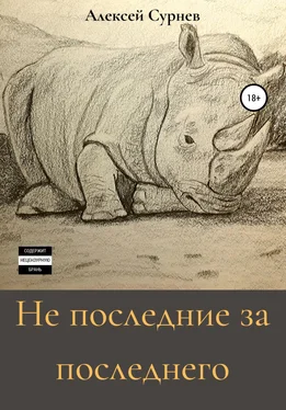 Алексей Сурнев Не последние за последнего обложка книги