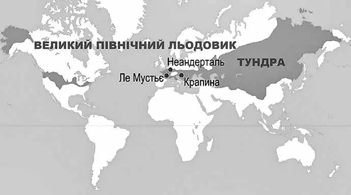 Світ за мустьєрської доби Змін зазнав і рослинний і тваринний світ Краї - фото 5