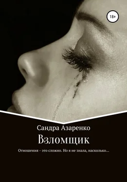 Сандра Азаренко Взломщик обложка книги