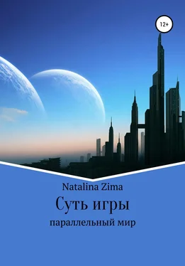 Natalina Zima Суть игры обложка книги