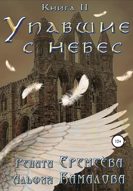 Рената Еремеева Упавшие с небес. Книга вторая. Война Семи Небес обложка книги