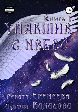 Альфия Камалова Упавшие с небес. Книга первая обложка книги