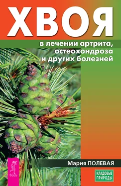 Мария Полевая Хвоя в лечении артрита, остеохондроза и других болезней обложка книги