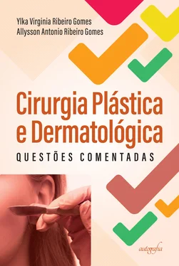 Allysson Antonio Ribeiro Gomes Cirurgia Plástica e Dermatológica обложка книги