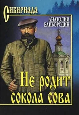 Анатолий Байбородин Не родит сокола сова (Сборник) обложка книги