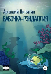Аркадий Никитин - Бабочка-рэндаллия