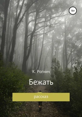 К. Рогнич Бежать обложка книги