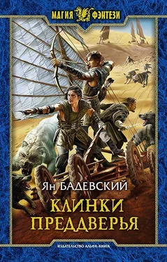 Ян Бадевский Клинки Преддверья обложка книги