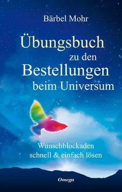 Bärbel Mohr Übungsbuch zu den Bestellungen beim Universum обложка книги