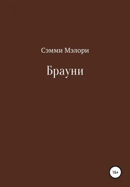 Сэмми Мэлори Брауни обложка книги