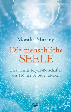 Monika Muranyi Die menschliche Seele обложка книги