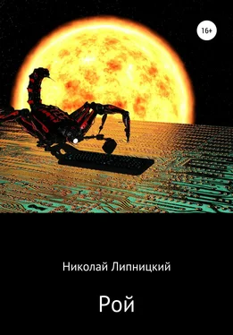 Николай Липницкий Рой обложка книги