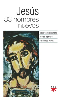 Fernando Rivas Rebaque Jesus 33 nombres nuevos обложка книги
