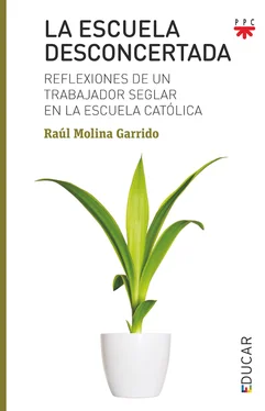 Rau´l Molina Garrido La escuela desconcertada обложка книги