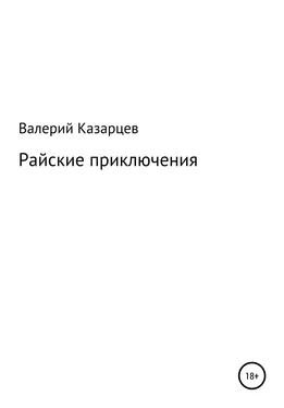 Валерий Казарцев Райские приключения обложка книги