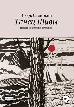 Игорь Станович Танец Шивы обложка книги