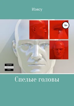 Иэясу Спелые головы обложка книги