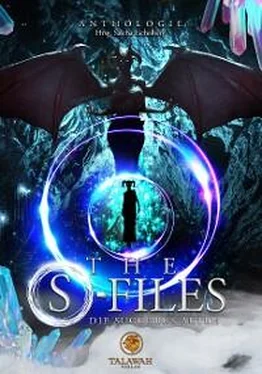 Неизвестный Автор The S-Files: Die Succubus Akten обложка книги