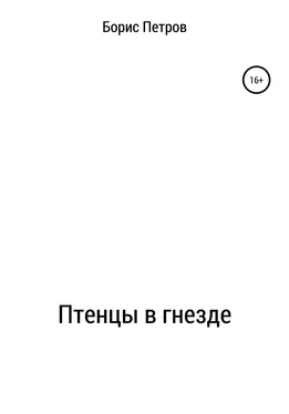 Борис Петров Птенцы в гнезде обложка книги