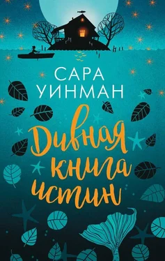 Сара Уинман Дивная книга истин обложка книги