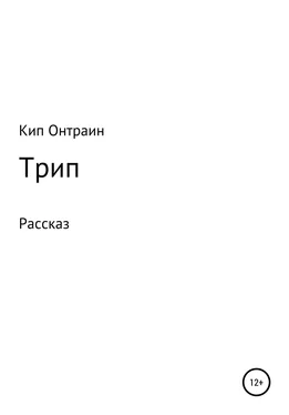 Кип Онтраин Трип обложка книги