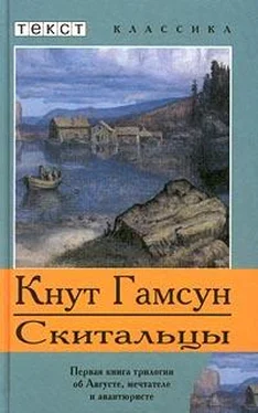 Кнут Гамсун Скитальцы обложка книги