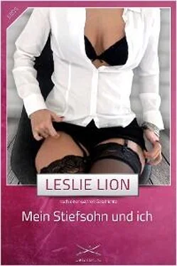 Leslie Lion Mein Stiefsohn und ich обложка книги