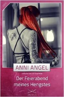 Anni Angel Der Feierabend meines Hengstes обложка книги