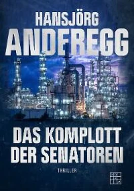 Hansjörg Anderegg Das Komplott der Senatoren обложка книги