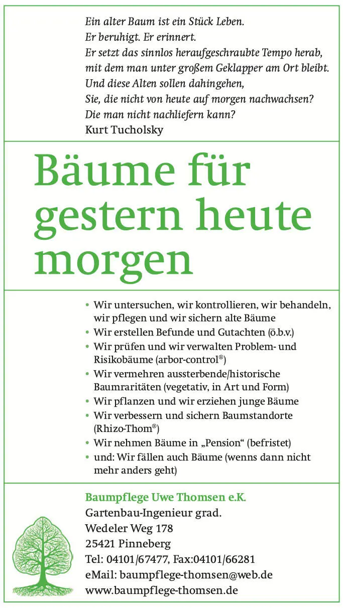 1 Boden Wurzeln und Leitungsbau Bäume Böden und Leitungsbau - фото 20