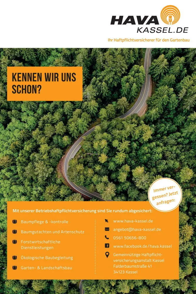 1 Boden Wurzeln und Leitungsbau Bäume Böden und Leitungsbau - фото 19