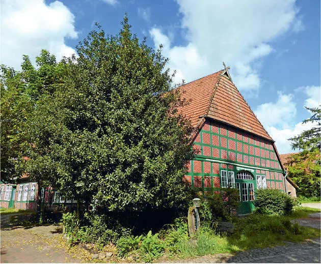 Abbildung 11 Verwendung als Ziergehölz Hausbaum Die Art eignet sich auch - фото 17