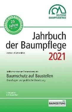Неизвестный Автор Jahrbuch der Baumpflege 2021 обложка книги