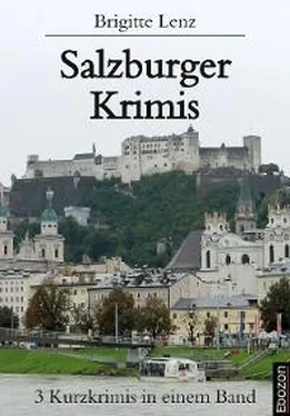 Brigitte Lenz Salzburger Krimis обложка книги