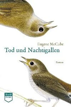 Eugene McCabe Tod und Nachtigallen (Steidl Pocket) обложка книги