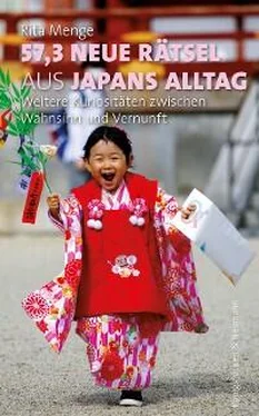 Rita Menge 57,3 neue Rätsel aus Japans Alltag обложка книги