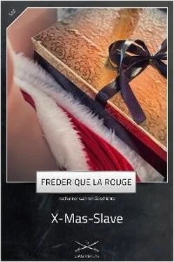 Frederique La Rouge X-Mas-Slave обложка книги