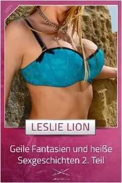 Leslie Lion Geile Fantasien und heiße Sexgeschichten 2. Teil обложка книги