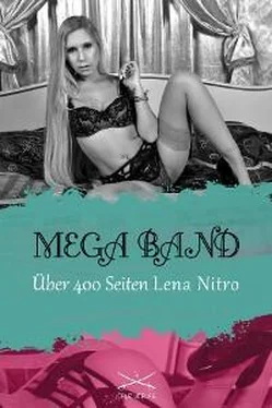 Lena Nitro Über 400 Seiten Lena Nitro обложка книги