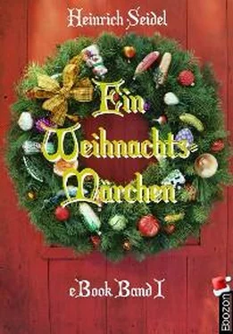 Seidel Heinrich Ein Weihnachtsmärchen обложка книги
