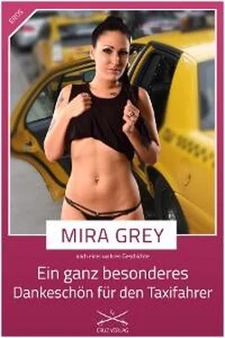 Mira Grey Ein ganz besonderes Dankeschön für den Taxifahrer обложка книги