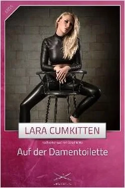 Lara CumKitten Auf der Damentoilette обложка книги