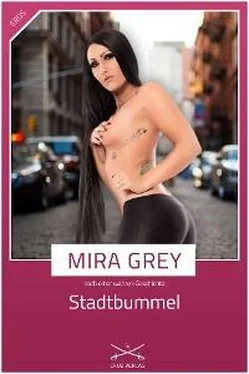 Mira Grey Stadtbummel обложка книги