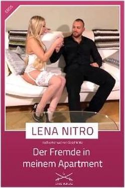 Lena Nitro Der Fremde in meinem Appartement обложка книги